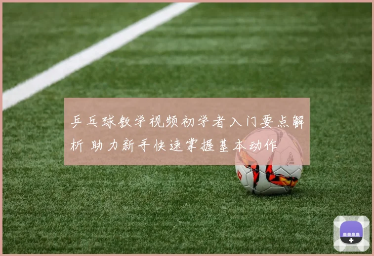 乒乓球教学视频初学者入门要点解析 助力新手快速掌握基本动作