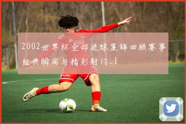2002世界杯全部进球集锦回顾赛事经典瞬间与精彩射门_1